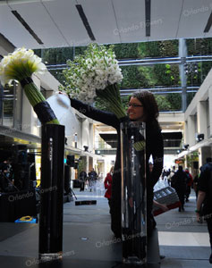  Sophie  topping up on the first lane of vases - Britomart Opening