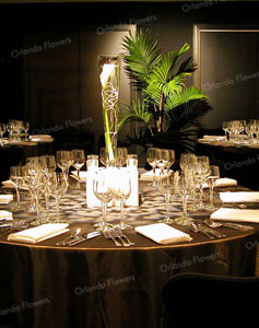 Calla Lily Vases - Aotea Centre - Auckland Conventions