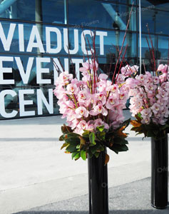 Orchid Vases - Viaduct Event Centre - Auckland Conventions