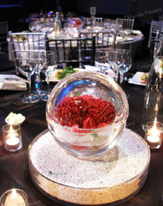 Ice Orbs and Waratahs - Auckland Town Hall - Auckland Conventions 