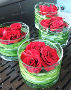 Red Roses and Grasses - Auckland Museum Event Centre