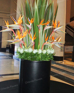 Birds of Paradise and Flax - Auckland Museum - Grand Foyer