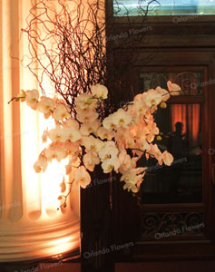 Orchids and Black Willow - Auckland Museum - Grand Foyer