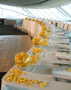 Orchid Bubble Vases. - Auckland Museum Event Centre