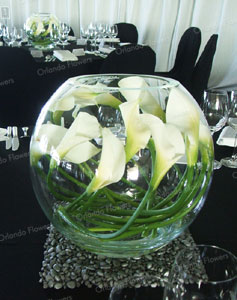 Elfin Calla Lily  Bubble Vases - Auckland Museum Event Centre