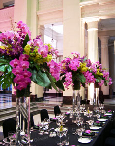 Seasonal Orchid Vases - Auckland Museum -Grand Foyer