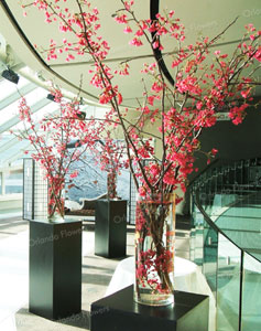 Cherry Blossom - Auckland Musuem Event Centre