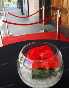 Amaryllis Vase - Red Carpet Event - Auckland Museum - Grand Foyer Entrance