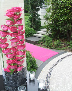   Pink Roses and Carpet - Hanene Pavilion