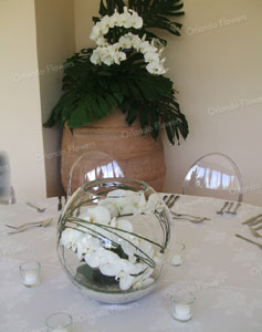  White Phalenopsis Bubble Vases - Hanene Pavilion