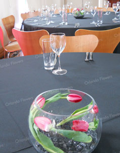 Tulip Bubble  Vase Corporate Function