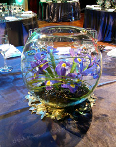 Iris Bubble Vases - Corporate Function - Hopetoun Alpha