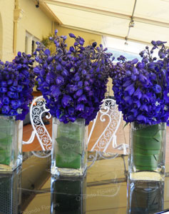 Delphinium Vases on the Terrace - Kelliher Estate