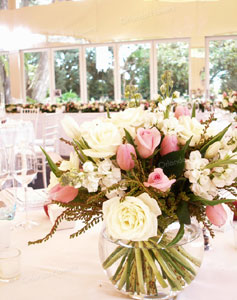  Roses, Stock and Tulips - Pheonix Room - Kelliher Estate 