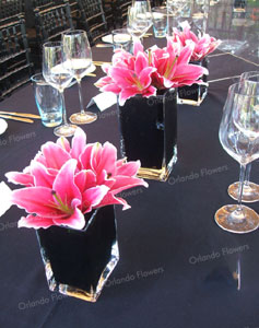 Pink Lilies - Pheonix Room - Kelliher Estate