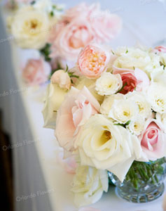 Old Fashioned Garden Styled Roses - Pheonix Room - Kelliher Estate