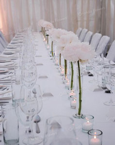 Peony Vases - Pheonix Room - Kelliher Estate