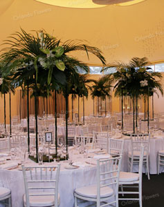 Green and White Tropical Theme  - Pheonix Room - Kelliher Estate