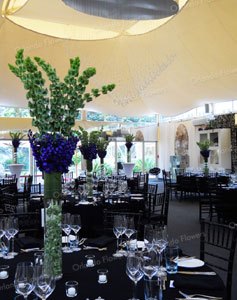 Bells of Ireland and Delphinium  - Pheonix Room  - Kelliher Estate 