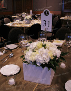 Hydrangea and Lisianthus Cubes - The Great Room - Langham Hotel