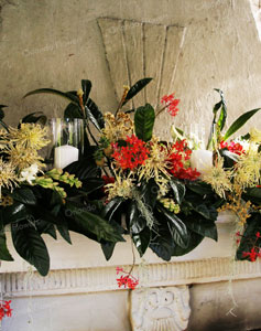 Orchids and Chrysanthemums - Ouside Fireplace - Mantells Mt Eden