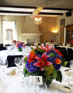 Summer Colours - Dining Room - Mantells Mt Eden 