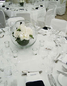  White Hydrangea Bubble Vases - Mantells on the Water