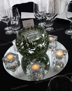  Submerged Fern - Corporate Function - Mantells on the Water 