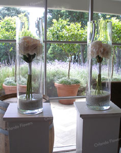 Peony Vases - Foyer - Orakei Bay