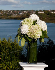 Hydrangea Vase - Outside Cremony - Orakei Bay