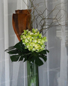 Orchid Entrance Vase - Corporate Event  - Orakei Bay