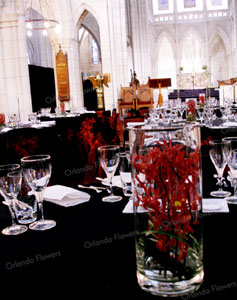  Orchid Vases  - Saint Mathews in the City