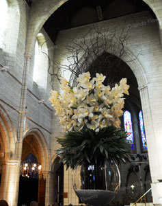 Orchids and Black Willow - Corporate Function - Saint Mathews in the City