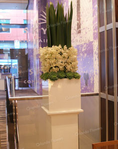 Orchids and Flax - Sky City Convention Centre