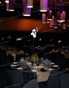 Corporate Function - New Zealand Room  - Sky City Convention Center