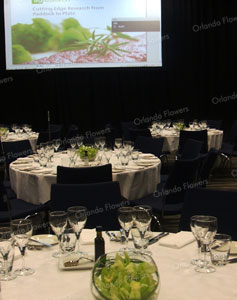 Corporate Function - New Zealand Room - Sky City Convention Centre