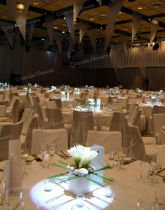 Childsiana Lilies, Pumice and Grasses - New Zealand Room - Sky City Convention Centre 