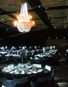 Diamond Ball - New Zealand Room - Sky City Conventions