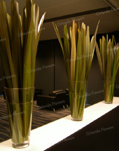 Flax Vases - Epsom Room - Sky City Conventions