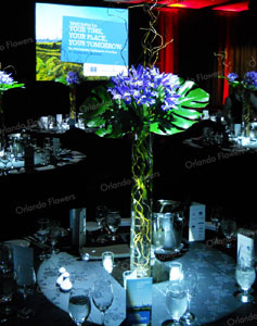 New Zealand Room - Corporate Function -  Sky City Convention Centre 