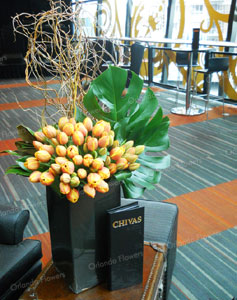 Orange Tulips - Chivas Bar - Sky City Main Site