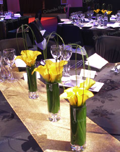 Calla Lily Vases - Barrel Hall - Villa Maria