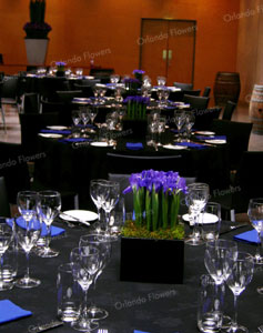  Iris Table Setting - Barrel Hall - Villa Maria 