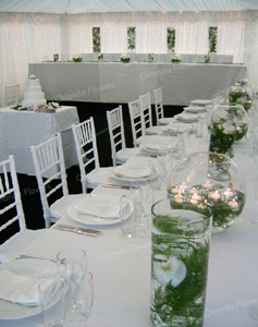  Orchid Vases - Marquee on Lawn - Villa Maria