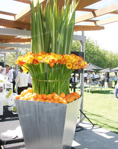  Flax, Calla Lilies and Apricots -  Villa Maria 