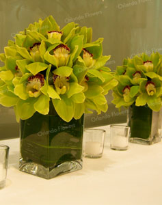  Green Orchid Orbs - Lakeside Room - Villa Maria