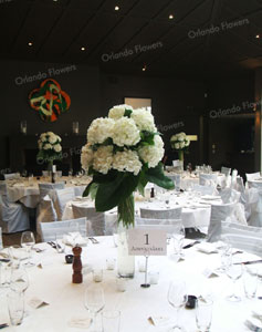 Hydrangea Vases - Cable Bay Winery - Waiheke Island