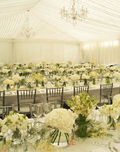 Marquee Dressing - 250   Vases  - Private Estate - Waiheke Island