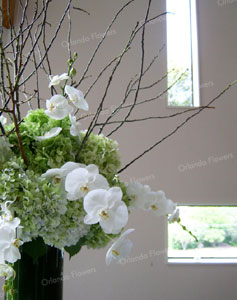  Hydrangea and Orchids - Church - Waiheke Island