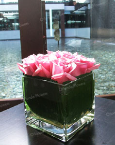 Pink Rose Cube - Sofitel